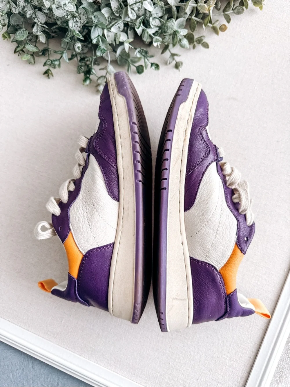 Steve Madden Everlie Purple & White Leather Sneakers | Women’s Size 6